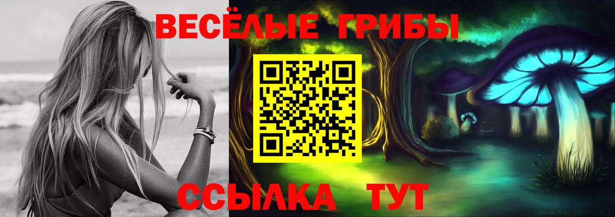 Волгоград  закладки  Вход с VPN  Псилоцибиновые грибы MAGIC MUSHROOMS 